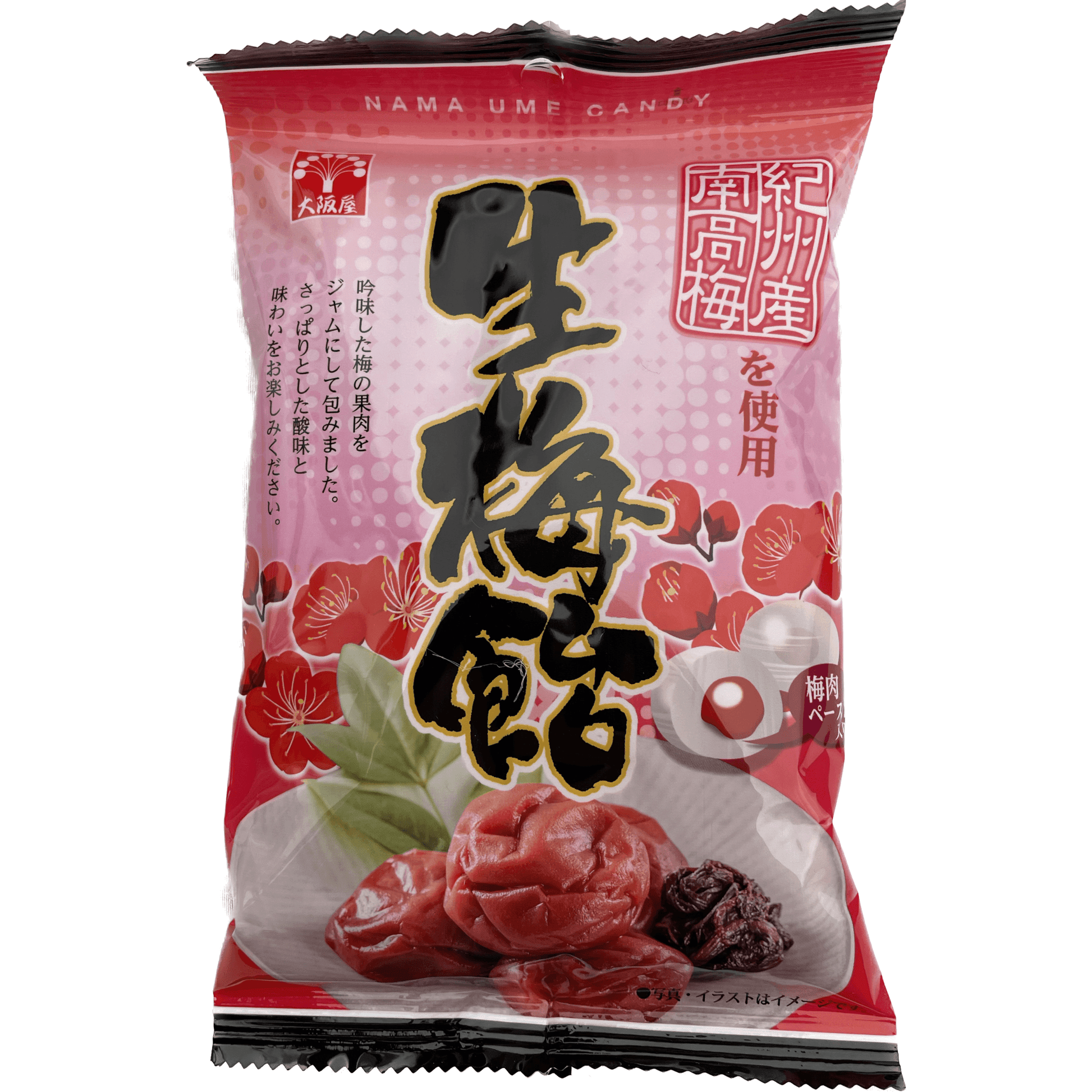 Osakaya Raw Plum Candy 85g / 大阪屋 生梅飴 85g – RiceWineShop